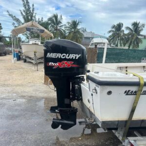 2016 Mercury Optimax 175 ProXS